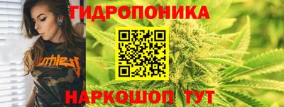 ПСИЛОЦИБИНОВЫЕ ГРИБЫ Гусиноозёрск