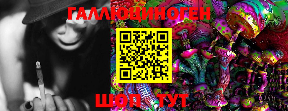 Галлюциногенные грибы Cubensis Кудрово